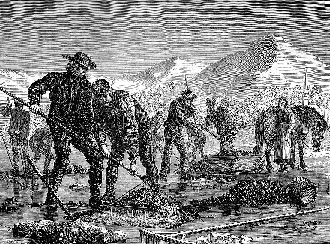 Swedish peasants prospecting for lake ore, c1880