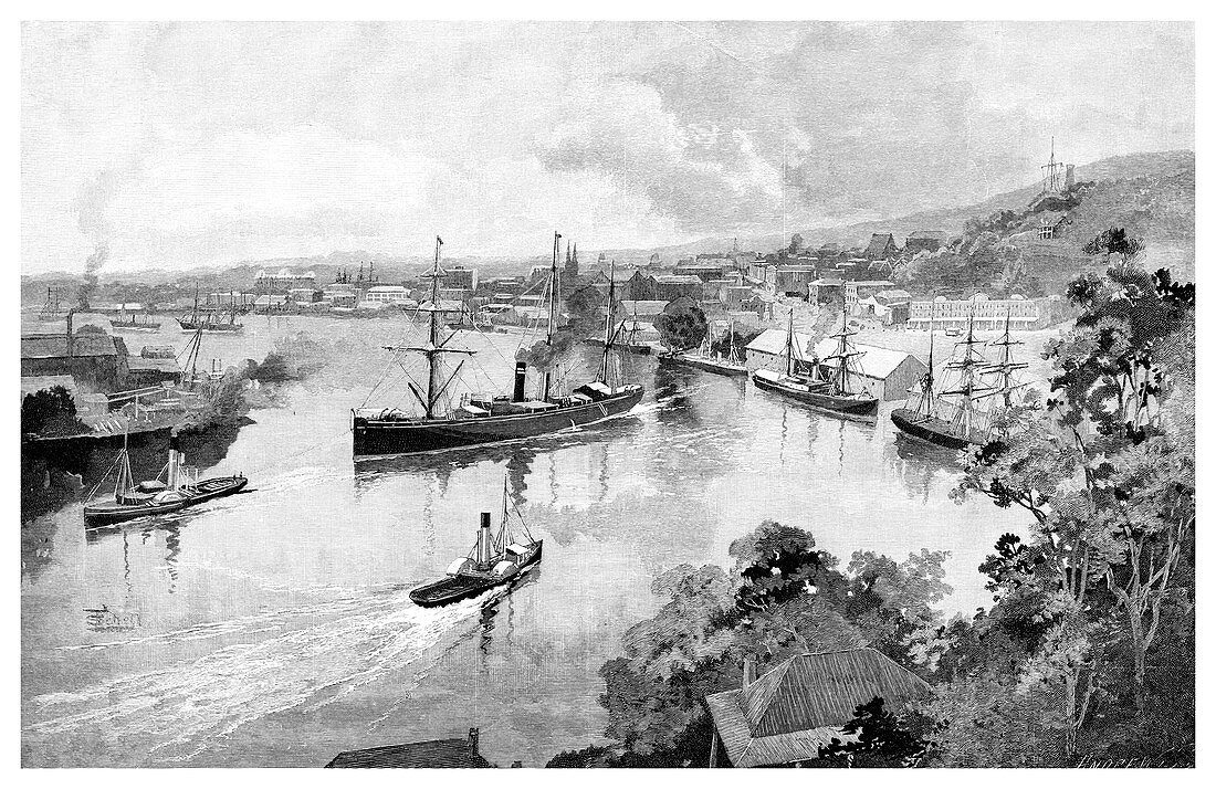Brisbane From Bowen Terrace', 1886
