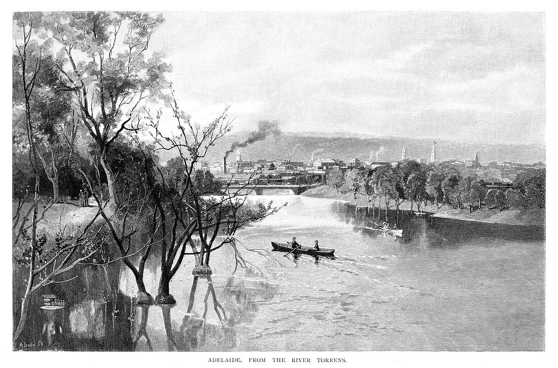 Adelaide, from the River Torrens', 1886