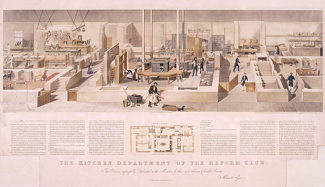 Reform Club's kitchens, Westminster, London, 1842