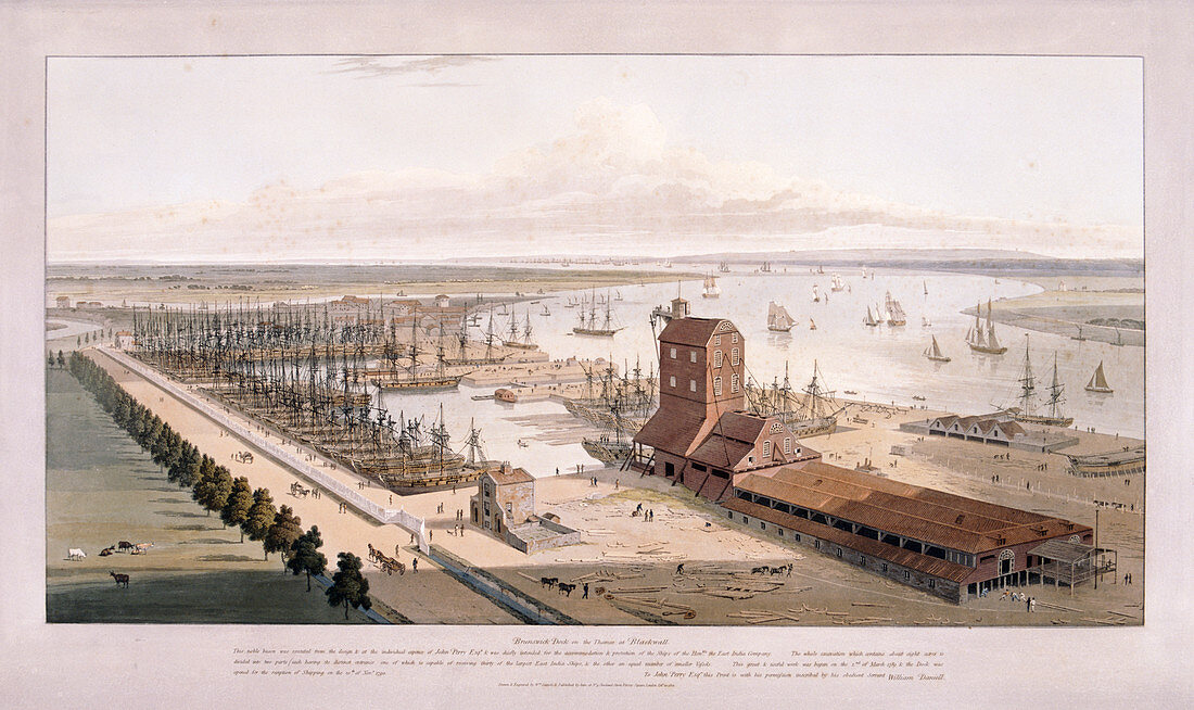 Brunswick Dock, and East India Dock, Poplar, London, 1803