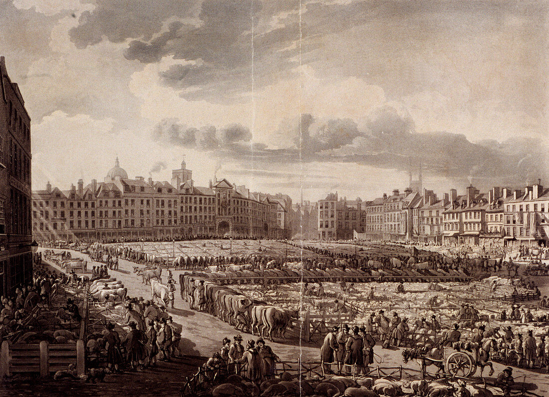 Smithfield Market, London, 1811