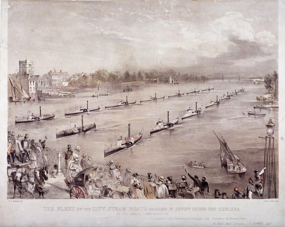 The fleet of the City steamboats off Chelsea, London, c1860