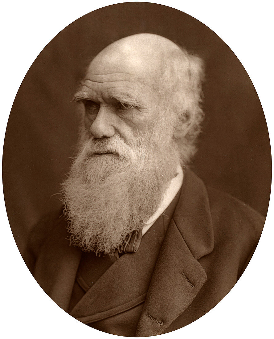 Charles Darwin, 1878