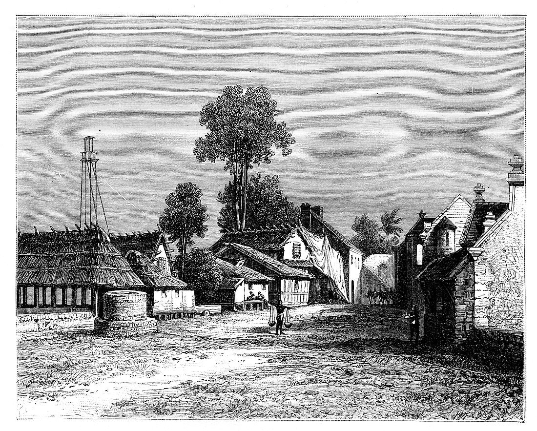 A street of Macassar, Celebes, Indonesia, 19th century