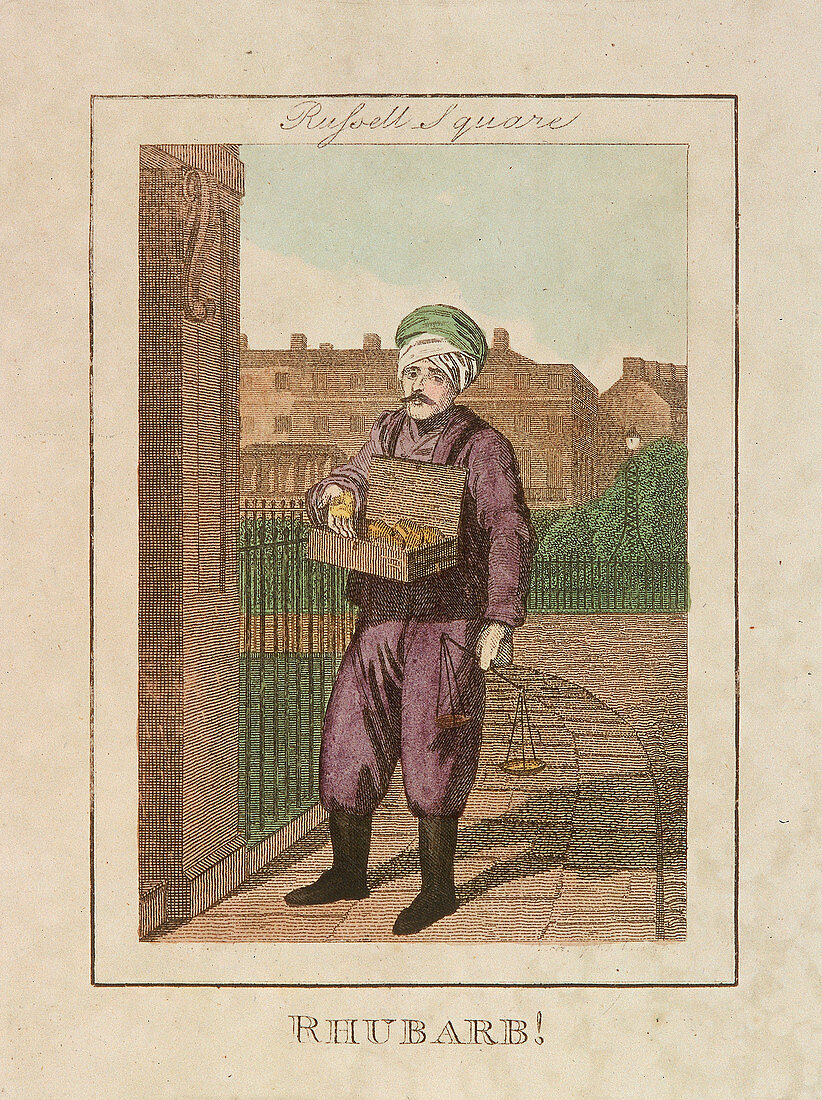 Rhubarb', Cries of London, 1804