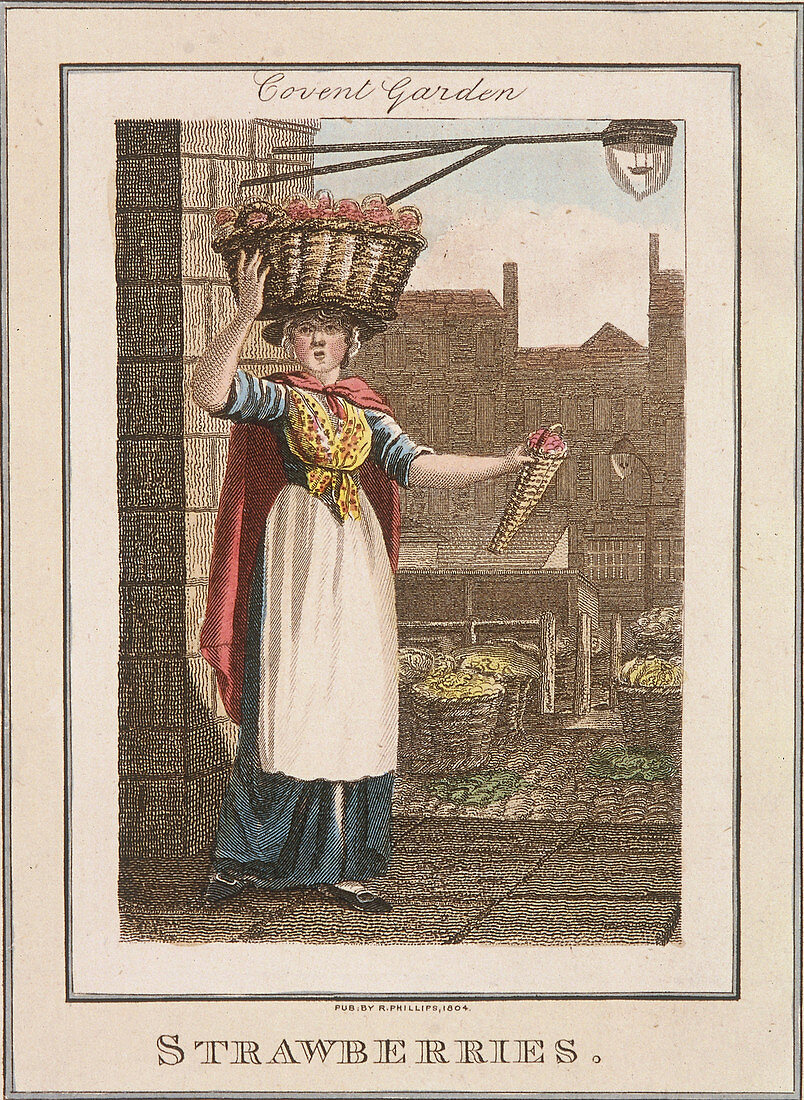Strawberries', Cries of London, 1804