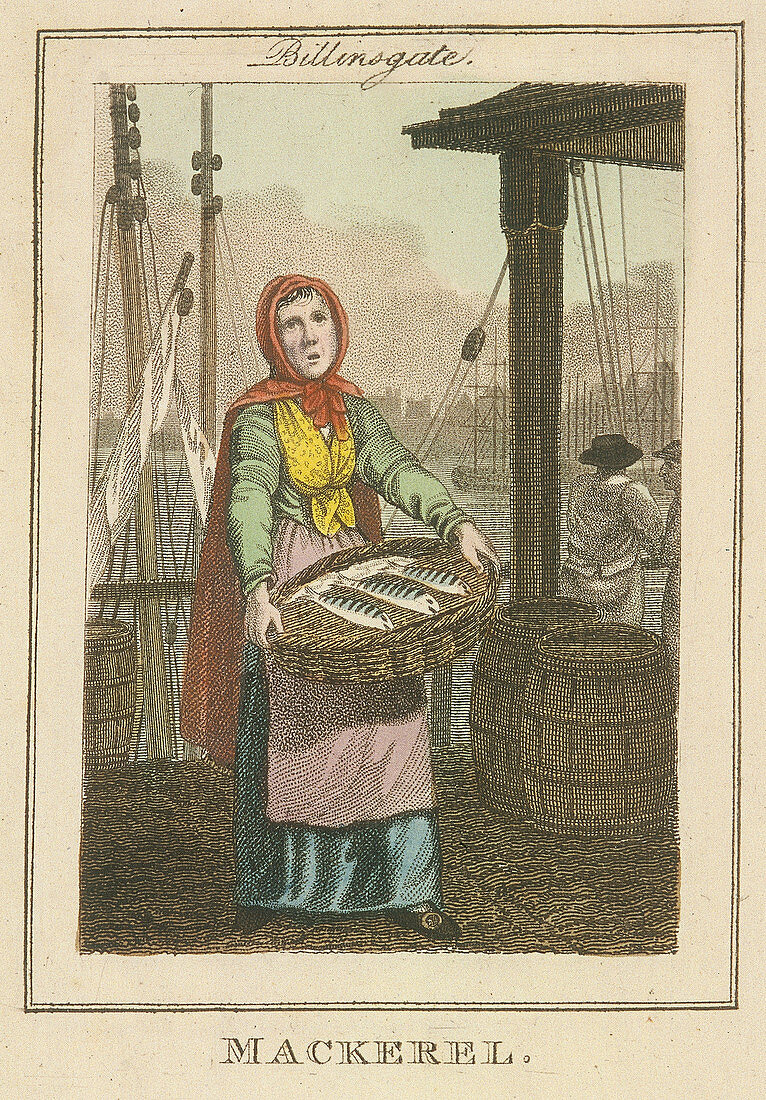 Mackerel ', Cries of London, 1804