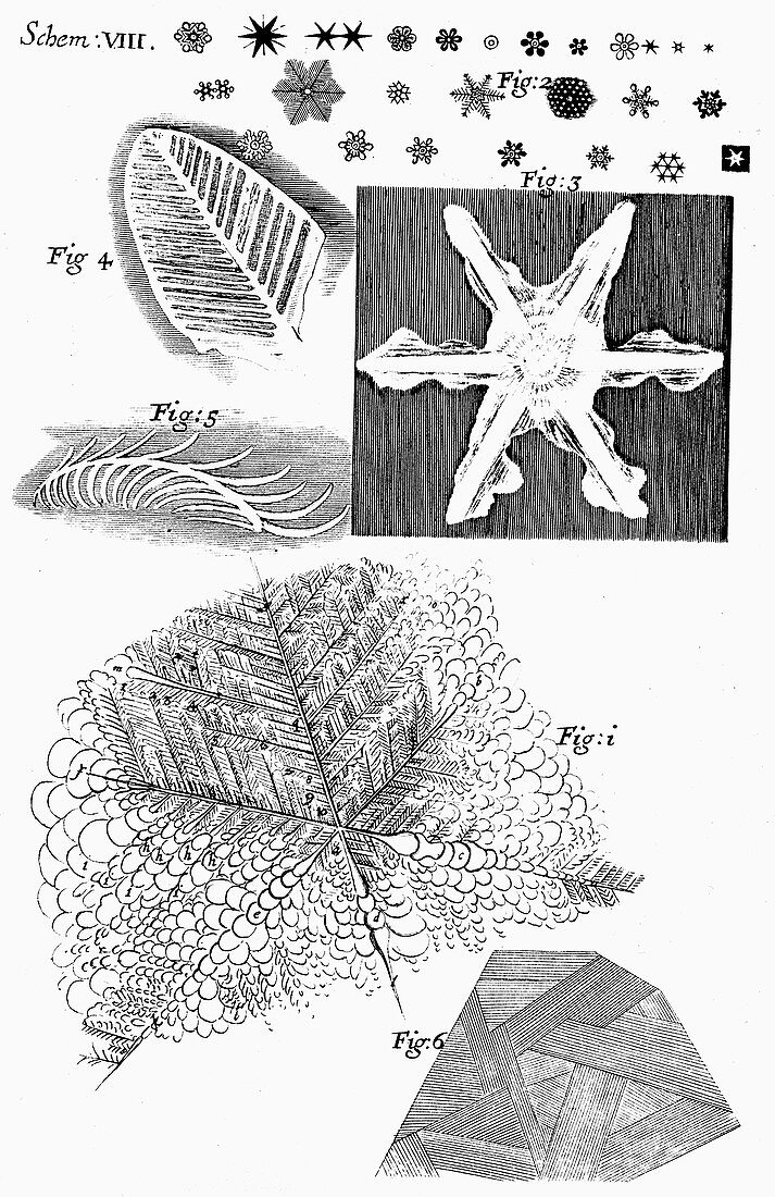 Frozen materials viewed by microscopist Robert Hooke, 1665