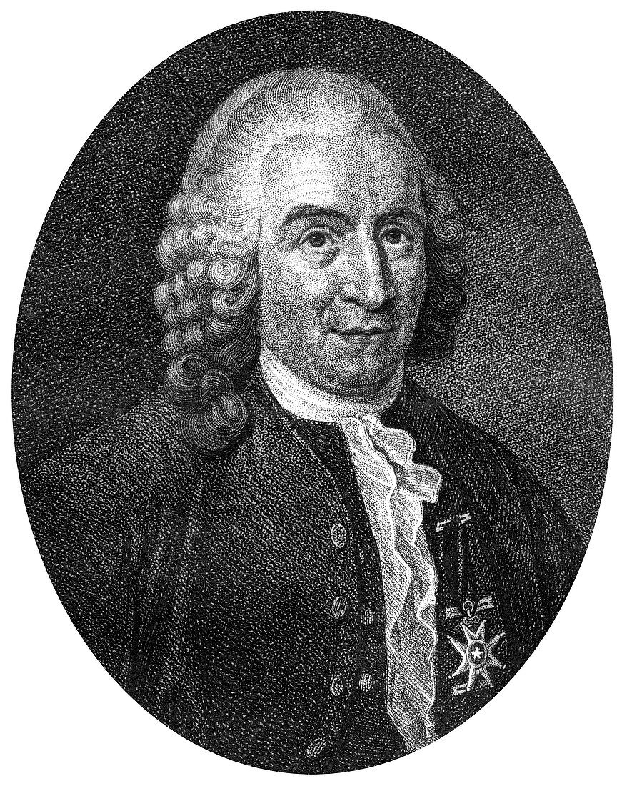 Carolus Linnaeus, Swedish botanist, physician and zoologist