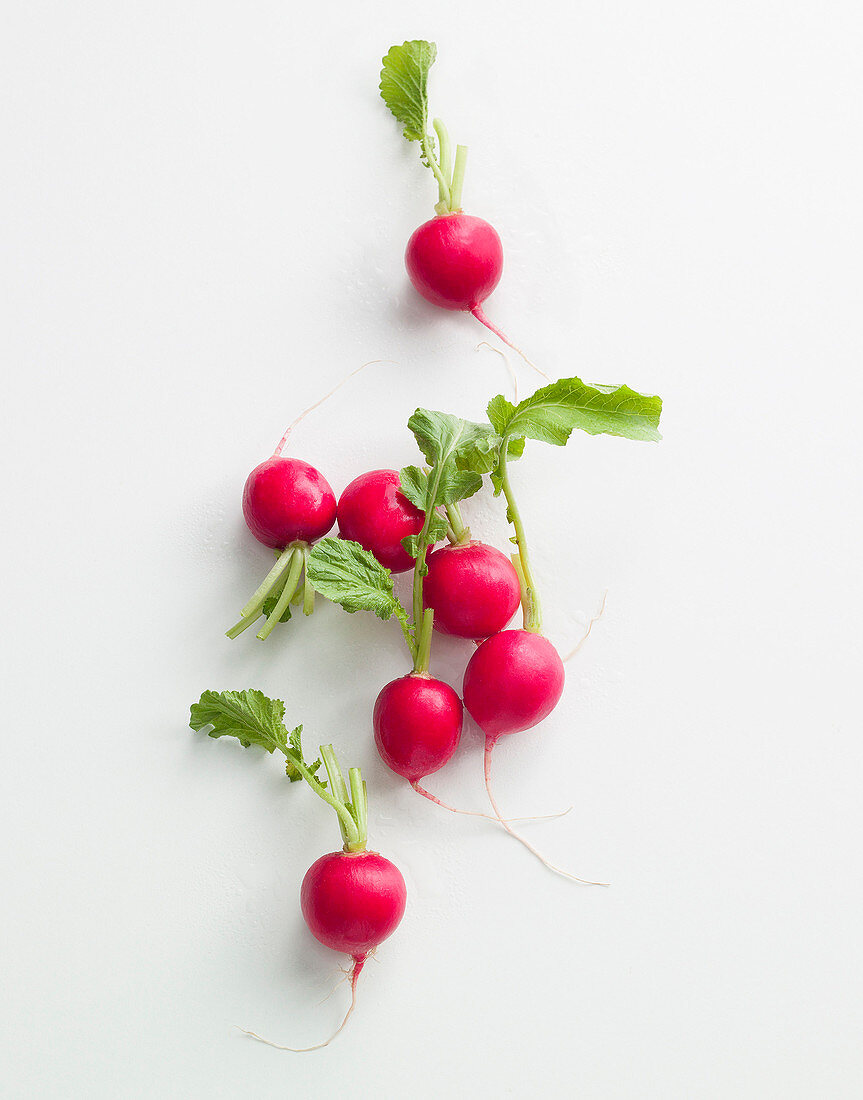 Frische Radieschen mit Grün