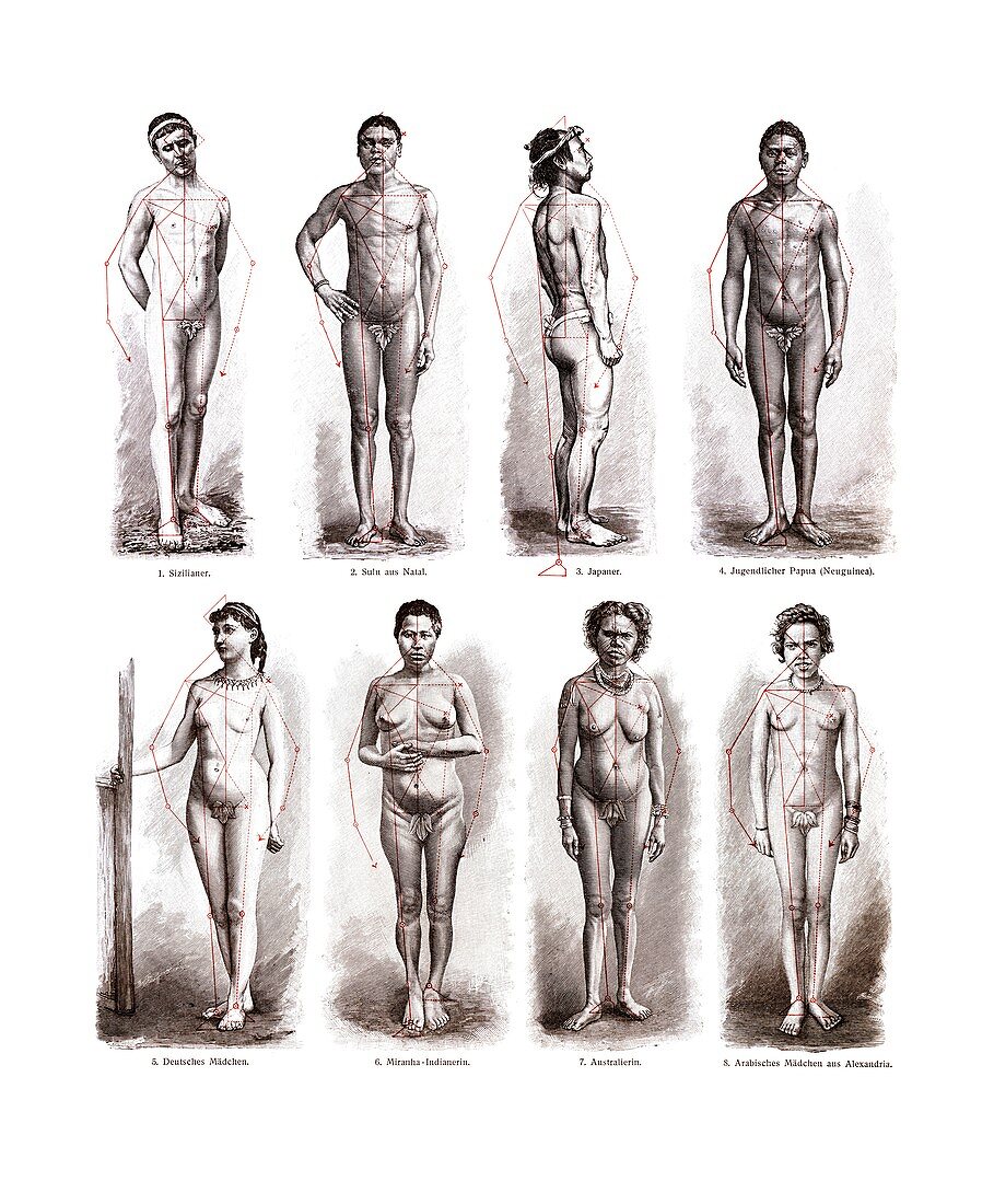The human form, 1902 illustration