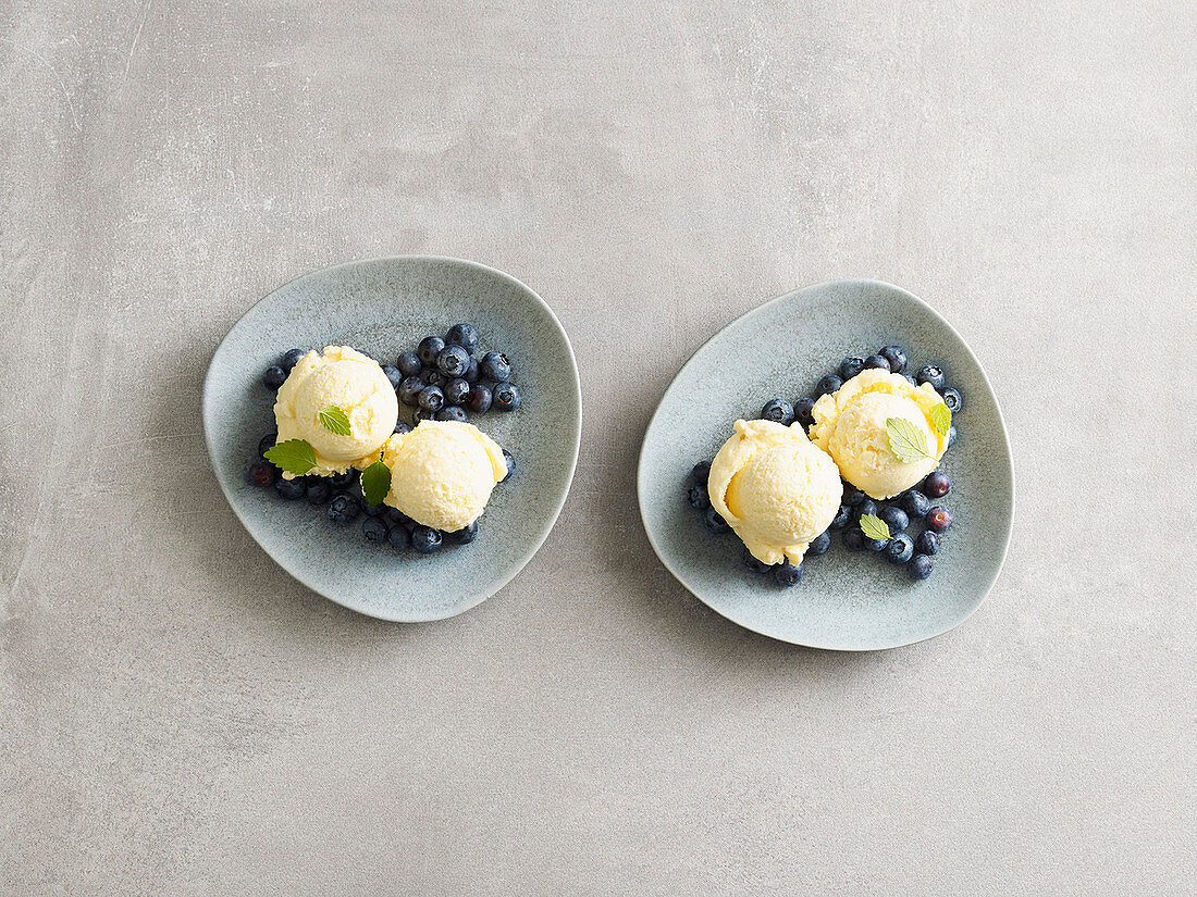 Orange yoghurt ice cream with fresh blueberries (low carb)