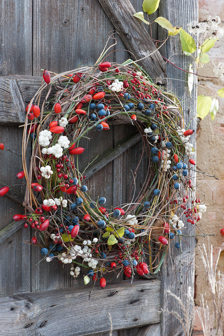 Autumn wreath with rose hips, snow berries and sloes