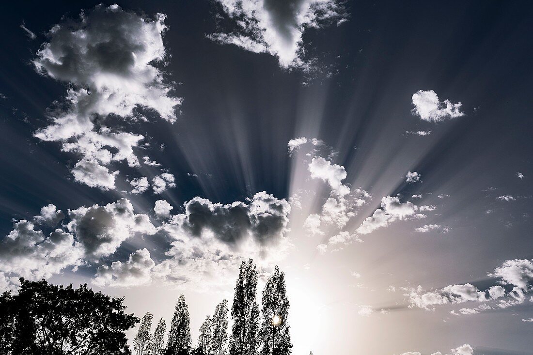 Crepuscular rays