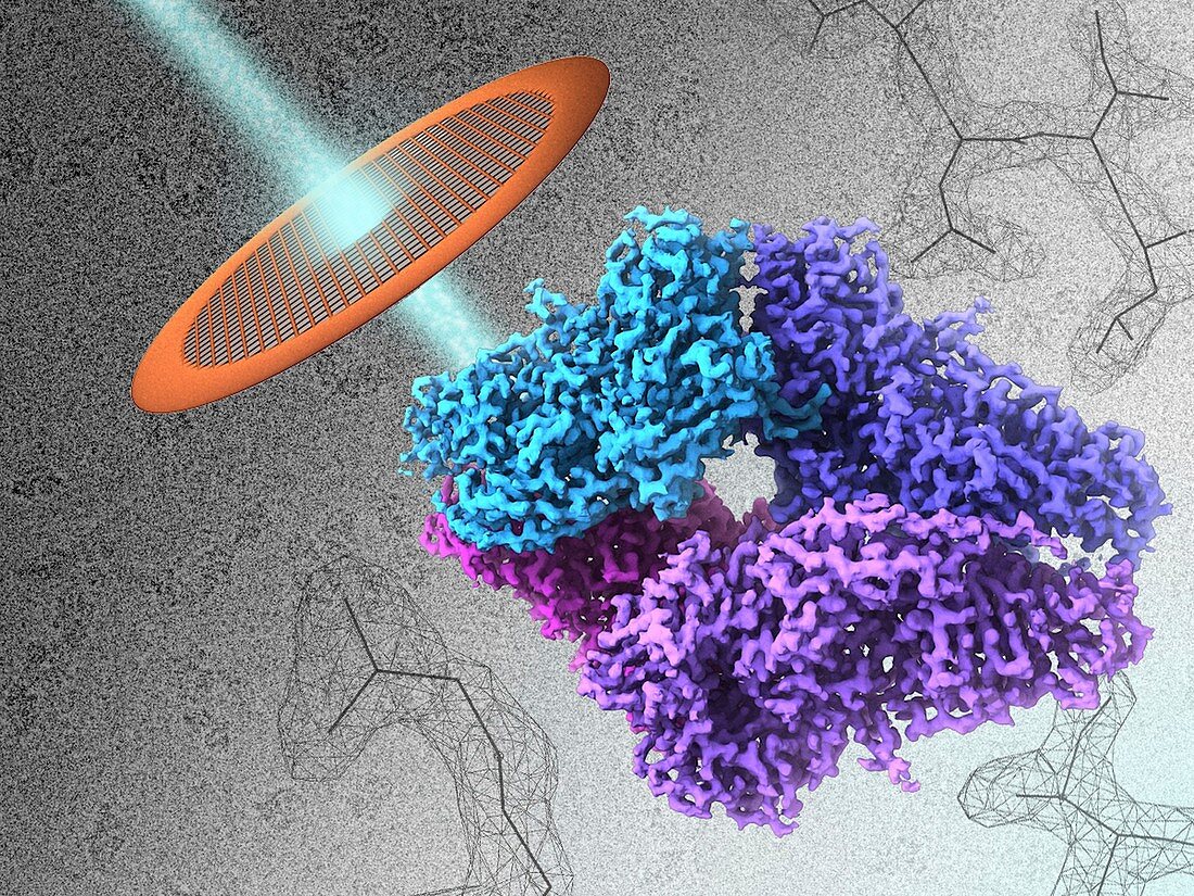 Beta-galactosidase enzyme, illustration