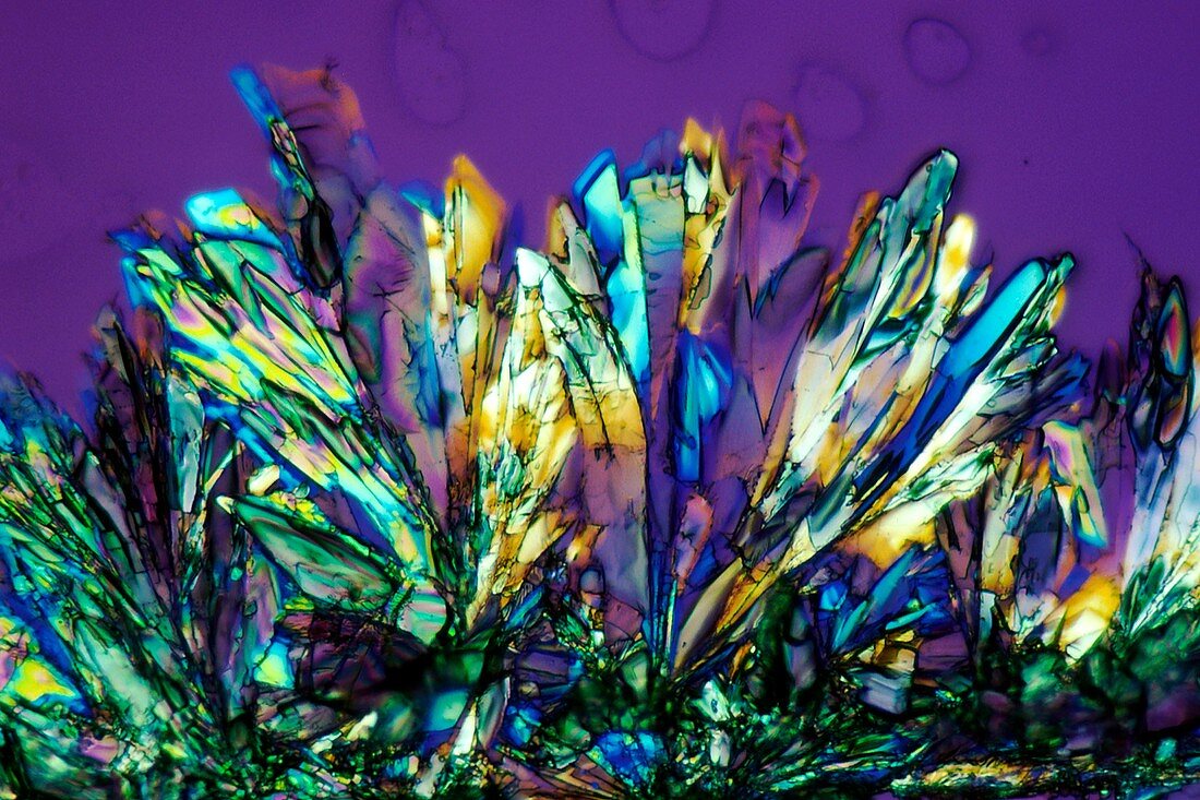 AZT drug crystals, polarised light micrograph