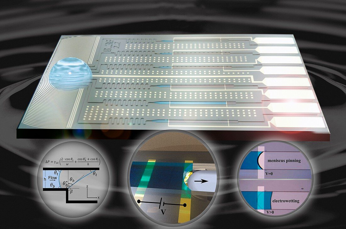 Electrogates microfluidics research, illustration