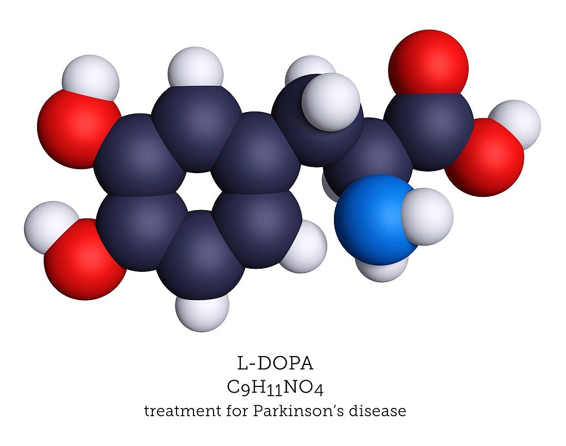 L-DOPA Parkinson's medication, molecular model