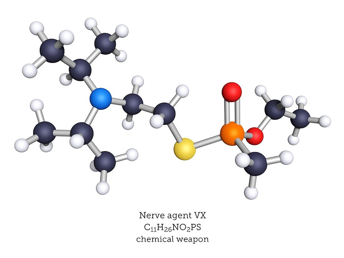 VX nerve agent, molecular model