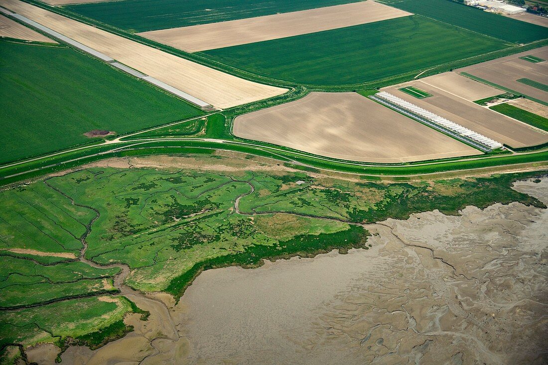 Coastal farmland, aerial photograph