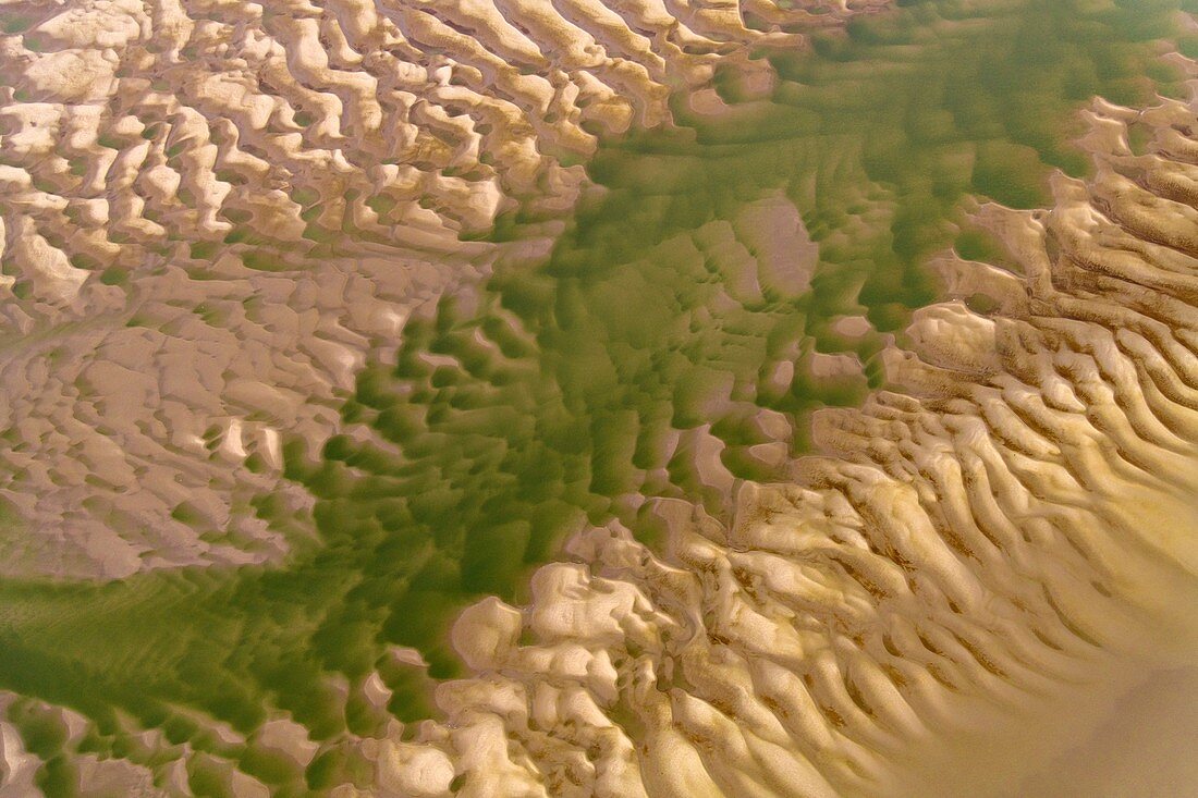 Sand bar patterns, aerial photograph