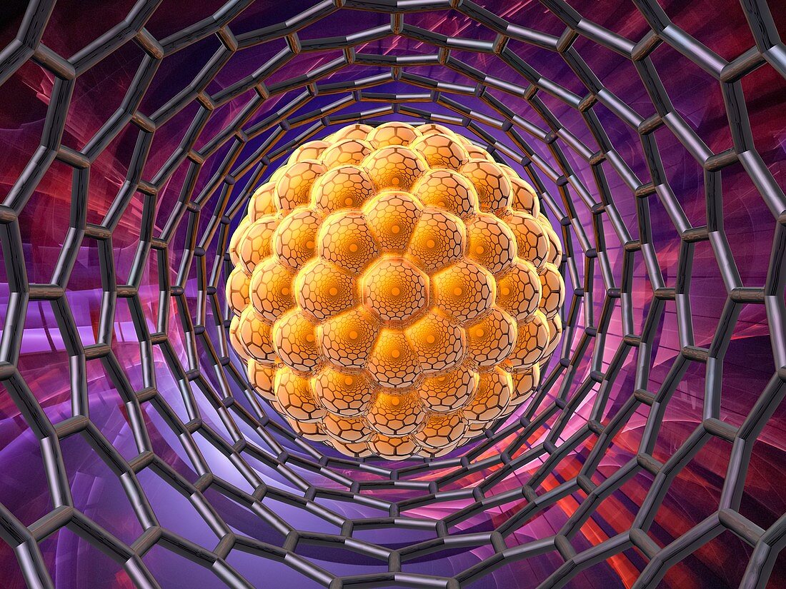 Nanotube with nanoparticle, illustration