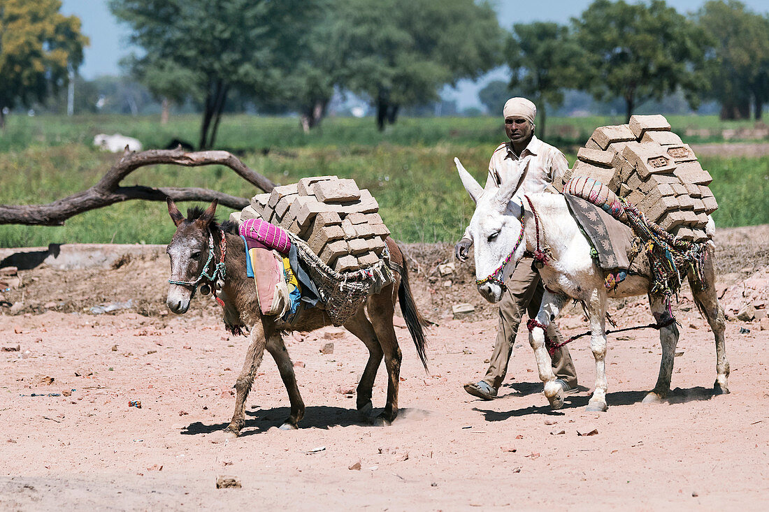 Mud brick industry