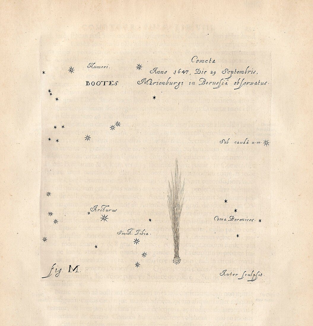 Comet of 1647, illustration