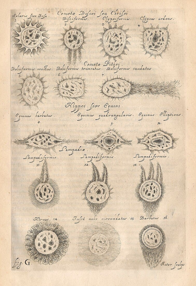 Types of comets, illustration 1668