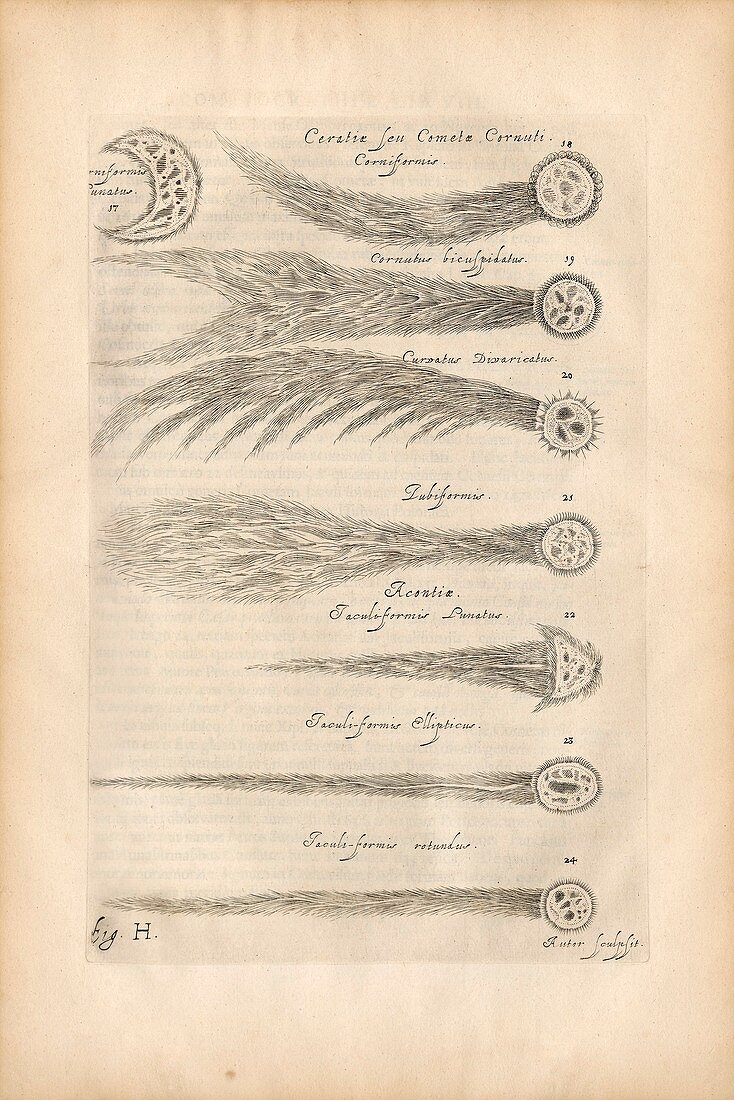 Types of comets, illustration 1668