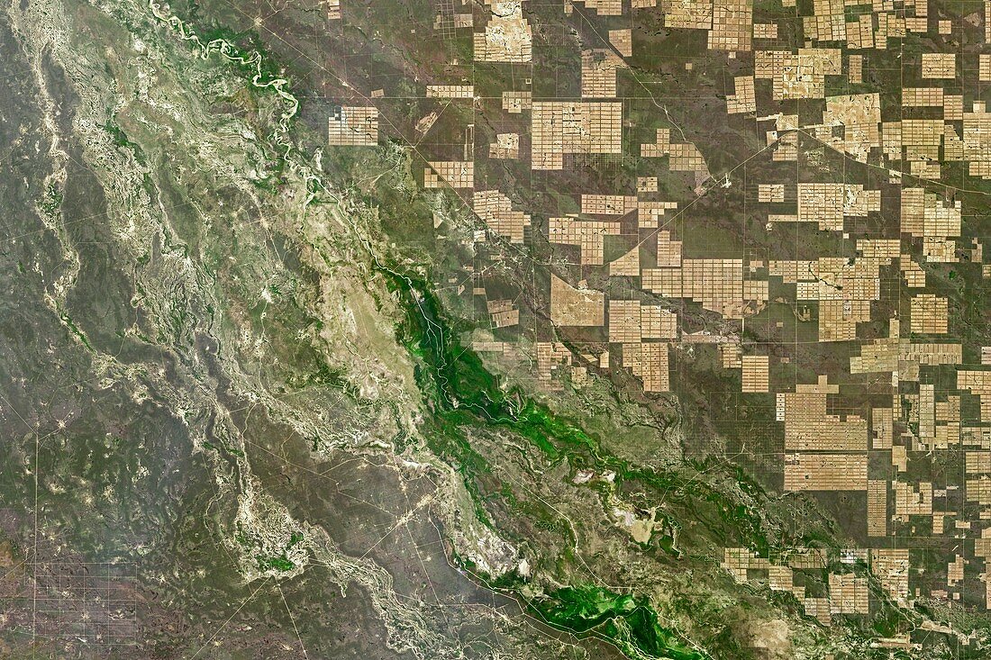 Deforestation in Paraguay, satellite image