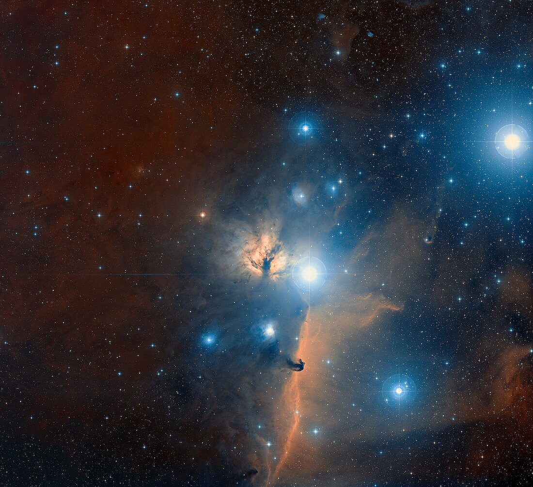 The Horse Head and Flame Nebulae in Orion