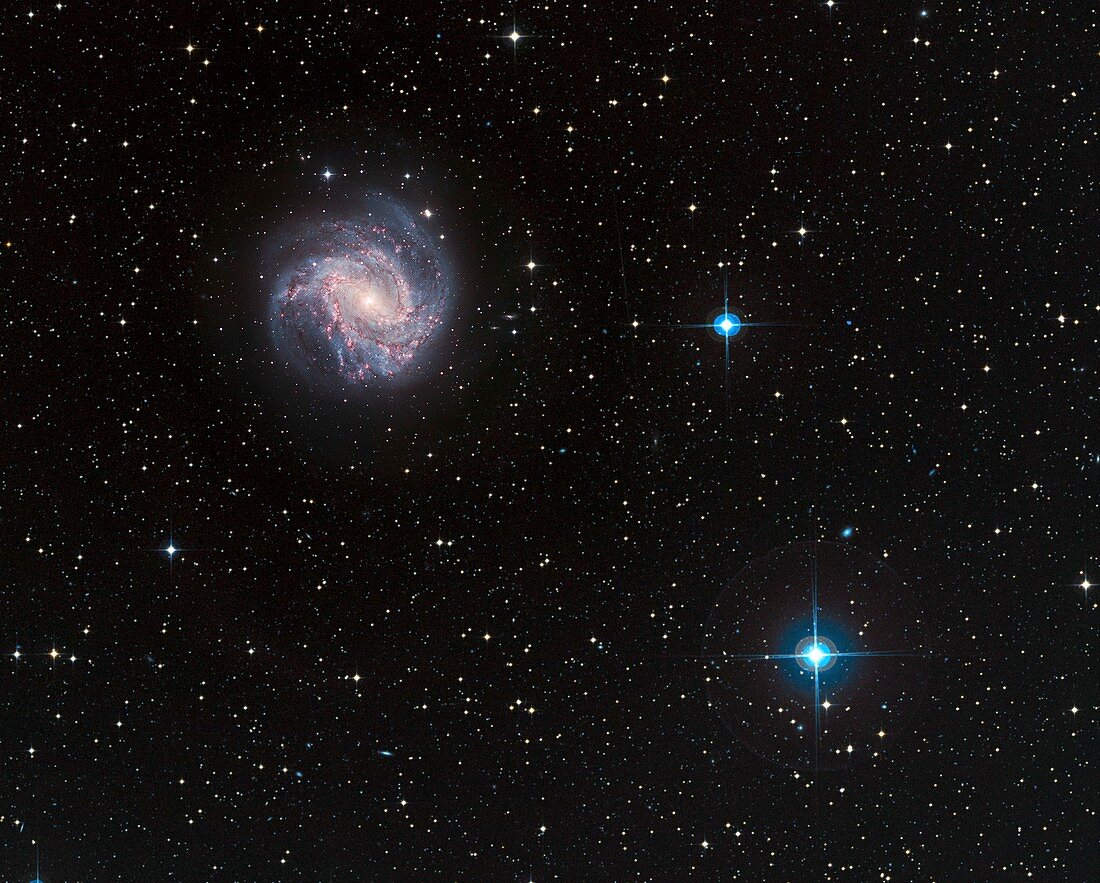Galaxy M 83 in Hydra