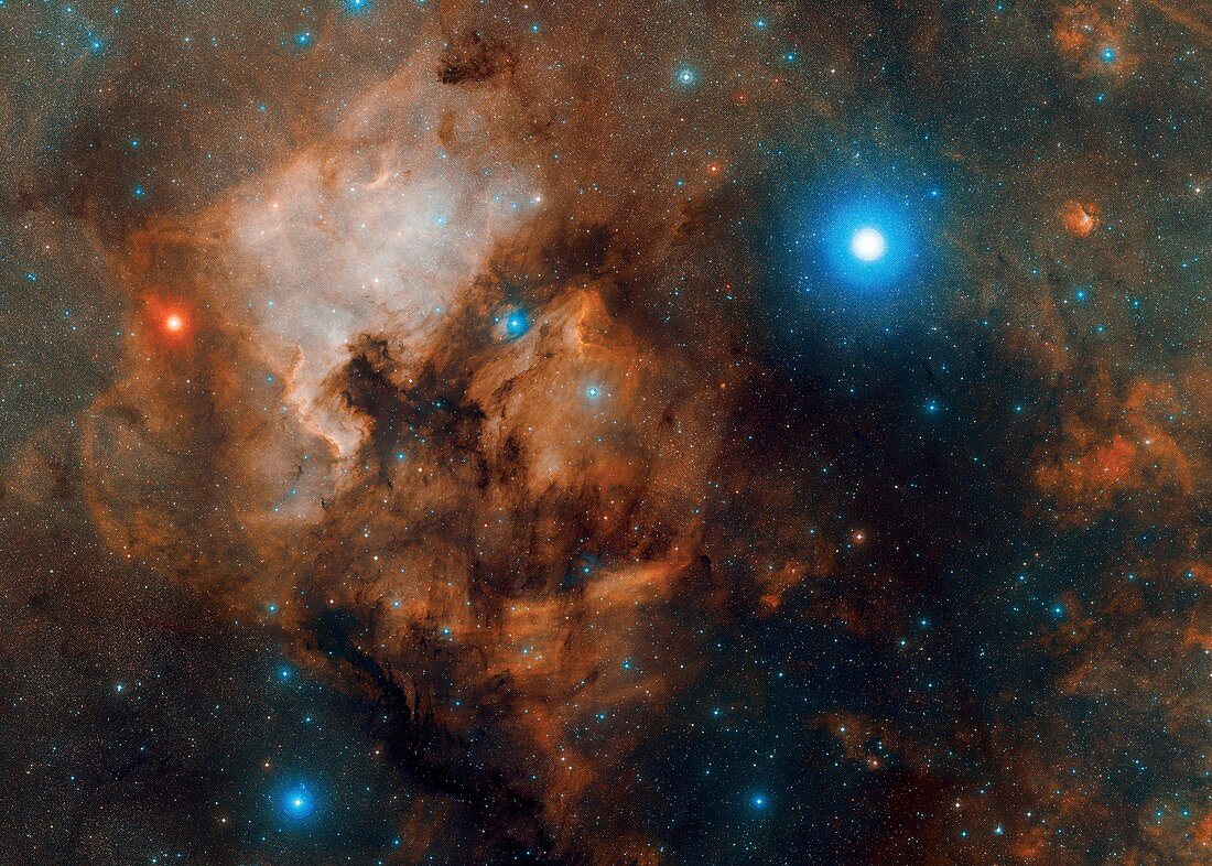 Deneb and the North America Nebula