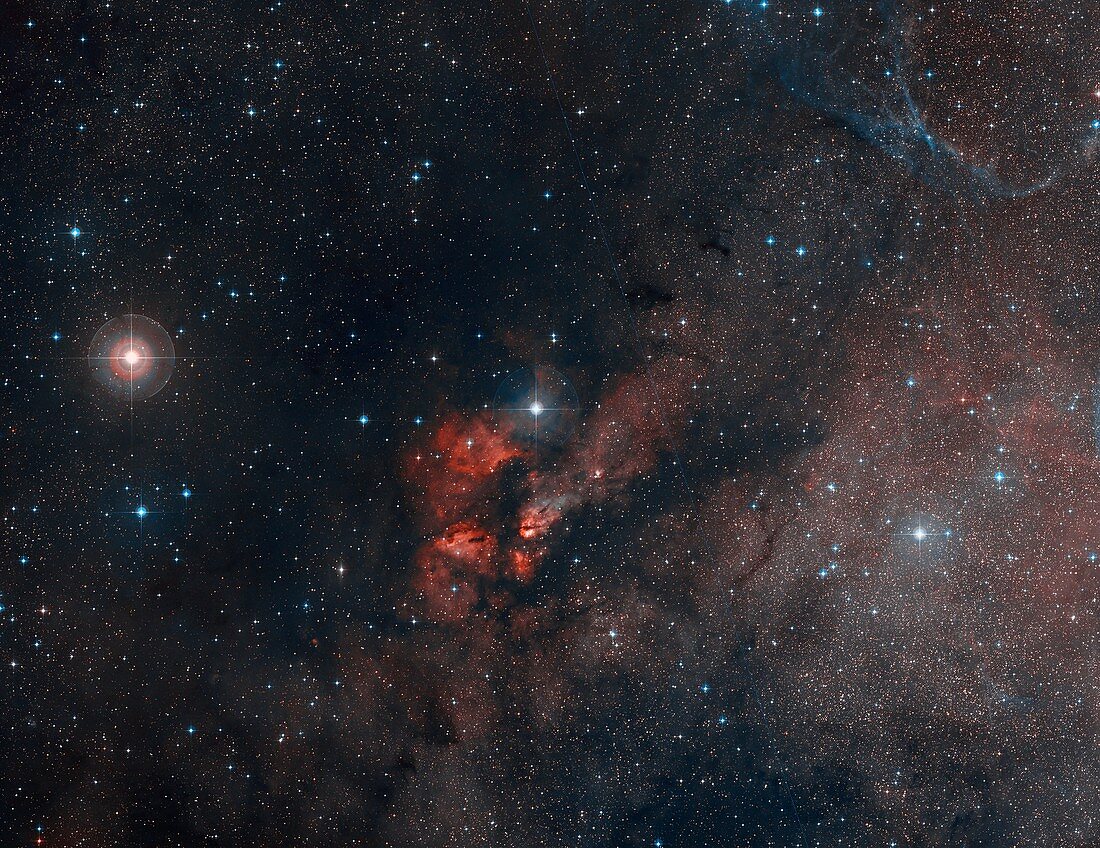 RCW 38 Star Cluster in Vela