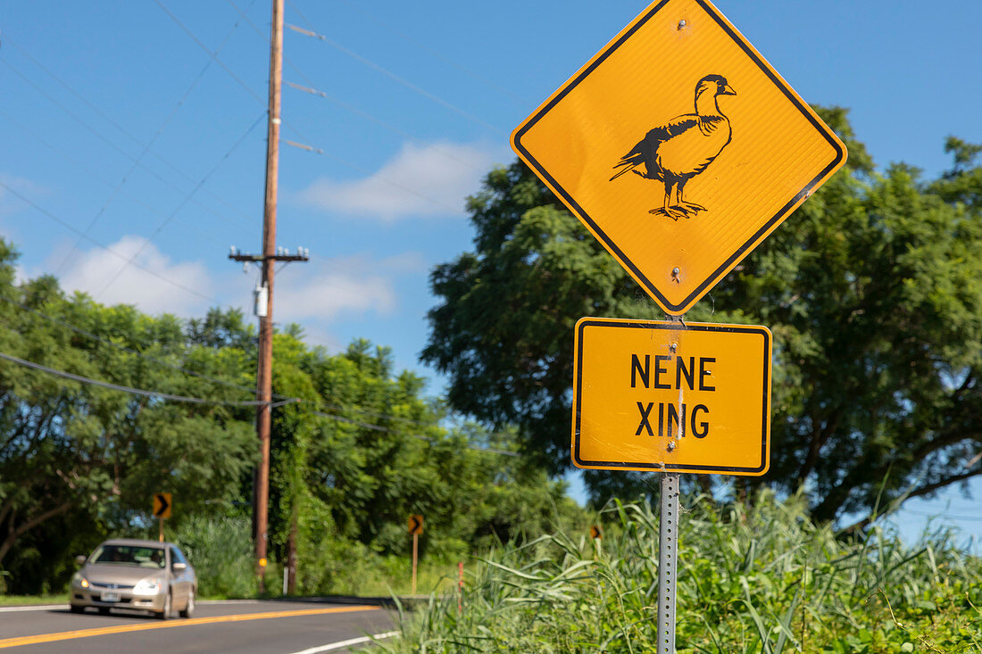 Hawaiian goose crossing sign