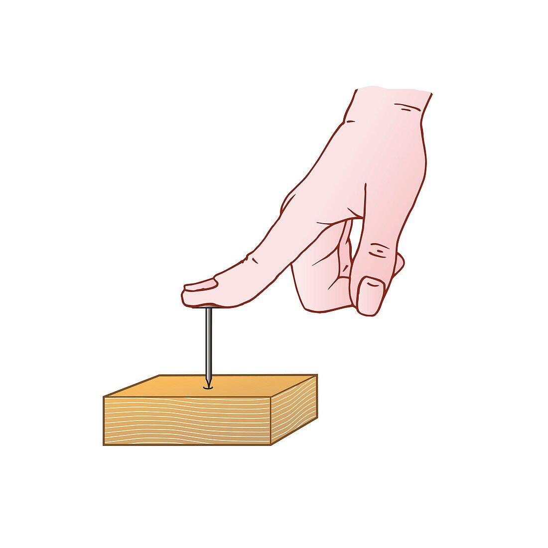 Pressure exerted by finger pushing a nail into wood, illustr