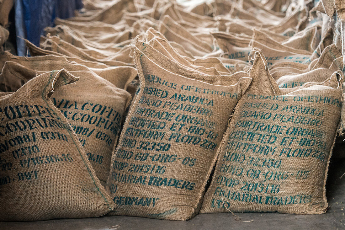 Bags of arabica coffee beans ready for export, Ethiopia