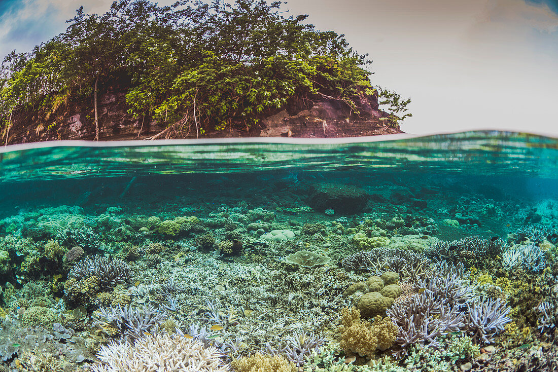 Split level view of shallow coral reef and island