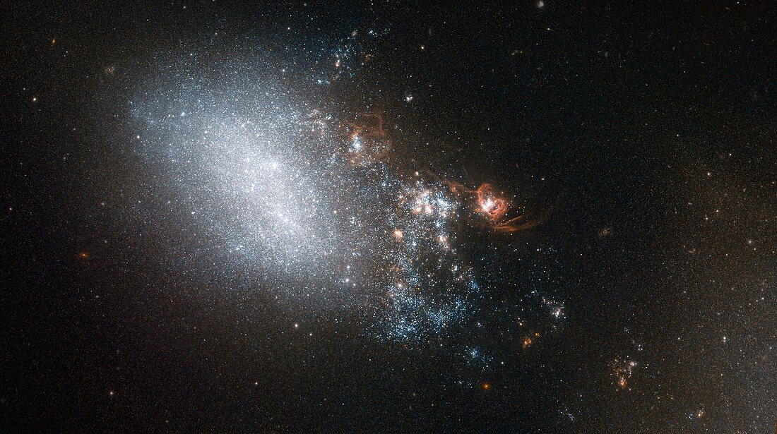 Irregular galaxy NGC 4485, HST image