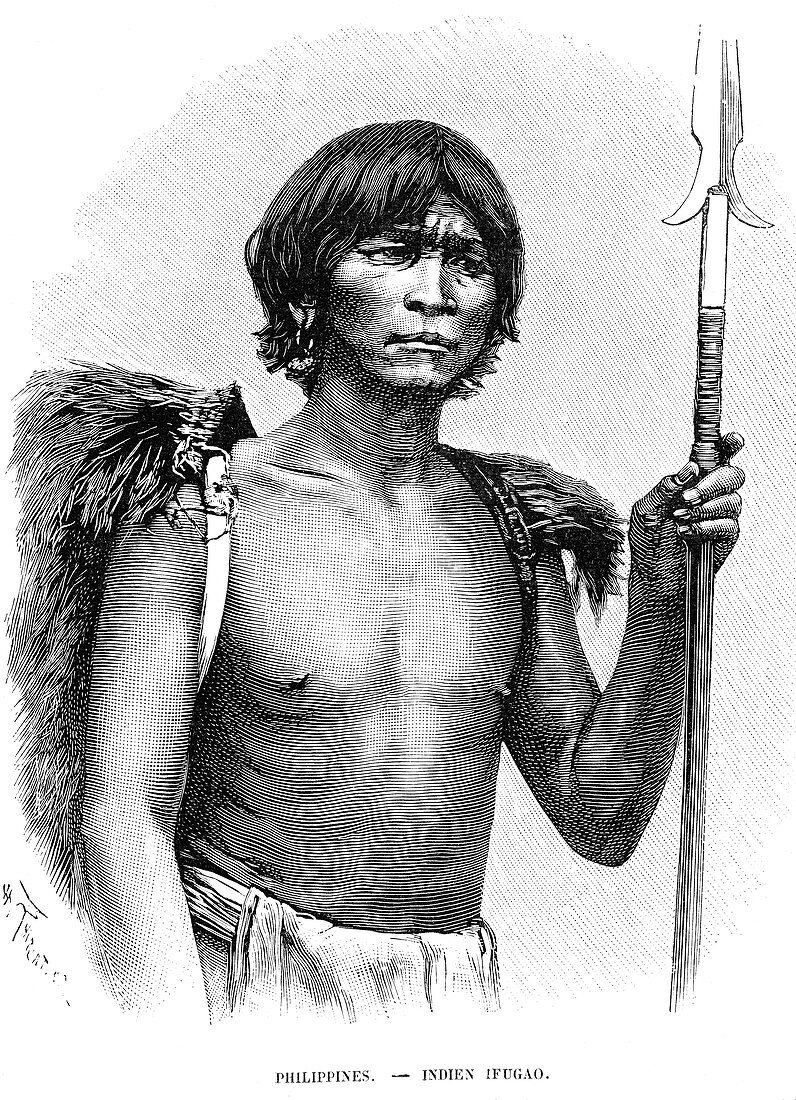19th Century Ifugao warrior, illustration