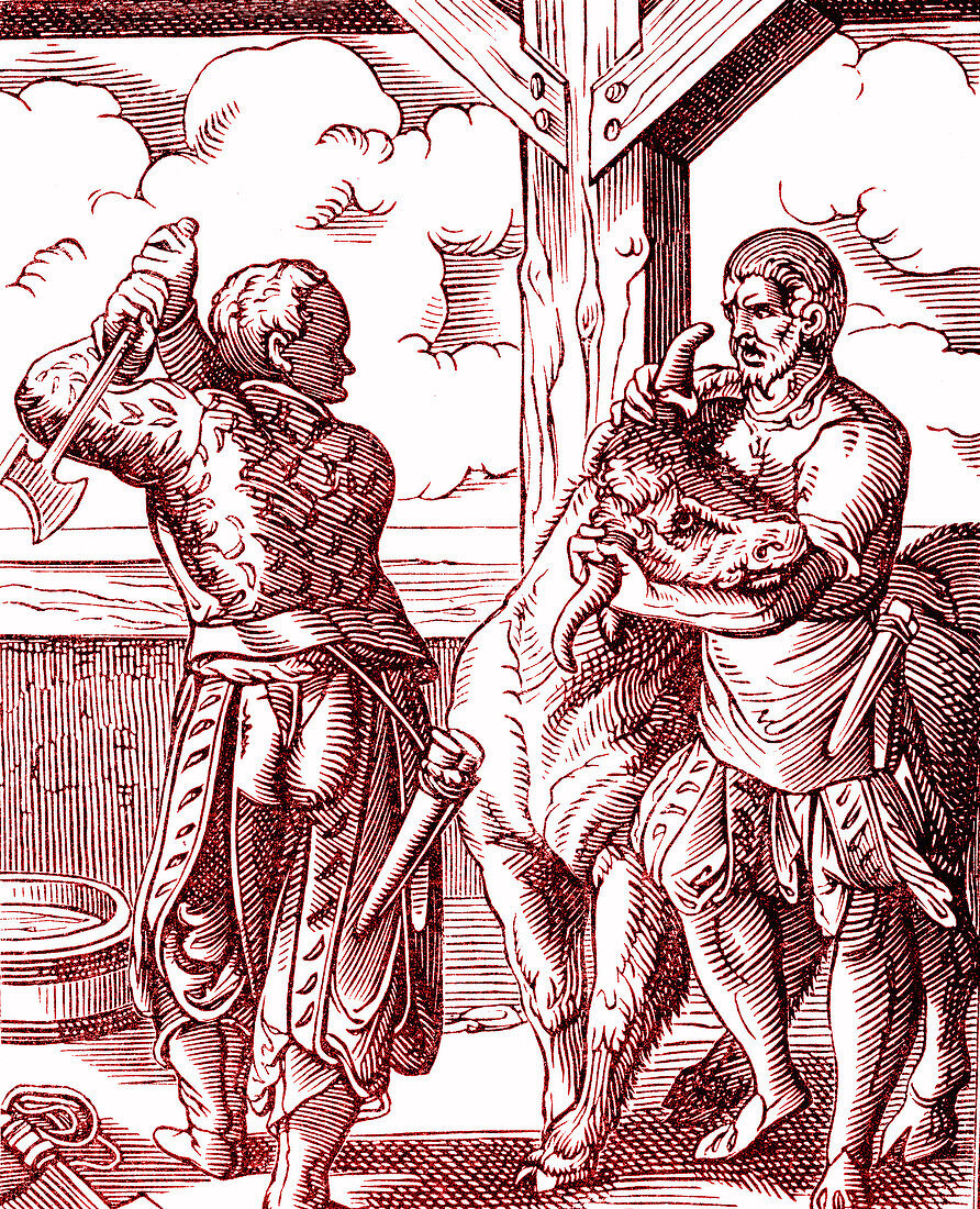 16th Century butcher, illustration
