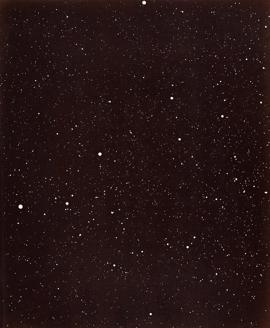 Part of the constellation of Cygnus, 1880s