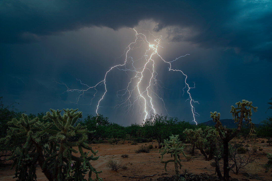 Lightning strikes, Arizona, USA