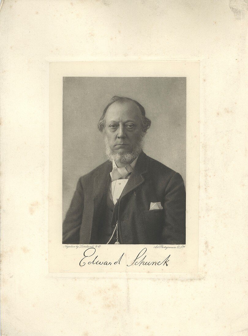 Henry Edward Schunck, British chemist