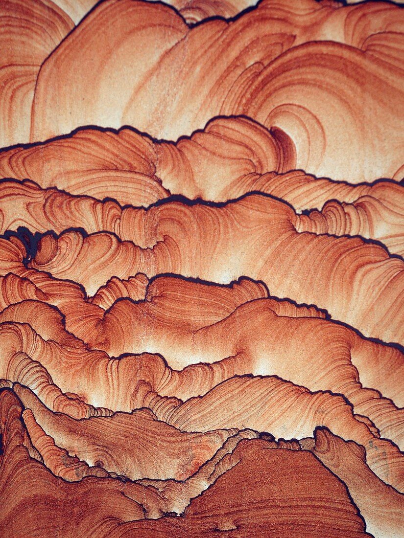 Sedimentary structures in sandstone