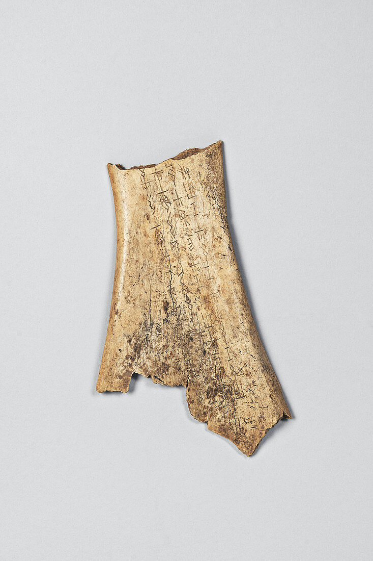Oracle bone fragment from China, 2nd millennium BC