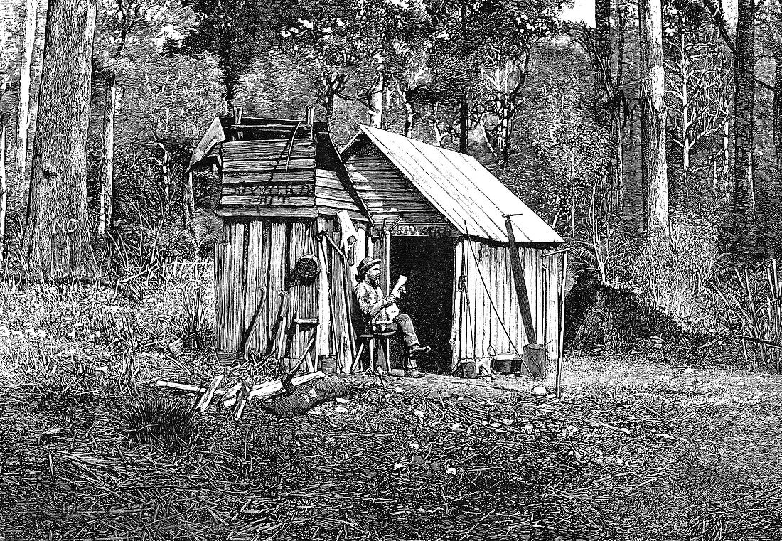 Australian pioneer camp, 19th century