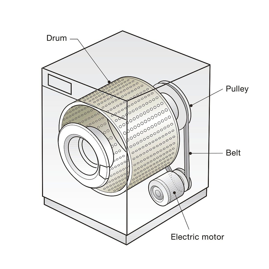 Spin dryer mechanism, illustration